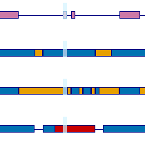 Protein-Structure-Analysis-Step-2 Protein Structure Analysis Step 2