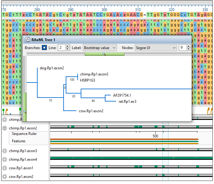 Phylogenetic Analysis Software Workflow