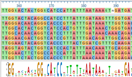 MAPro-App MegAlign Pro