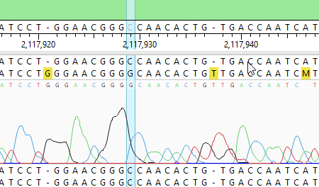 SMU-sm SeqMan Ultra Sanger Alignment