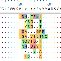 Antibody-Phage-Display-Step-3 Antibody Phage Display Step 3