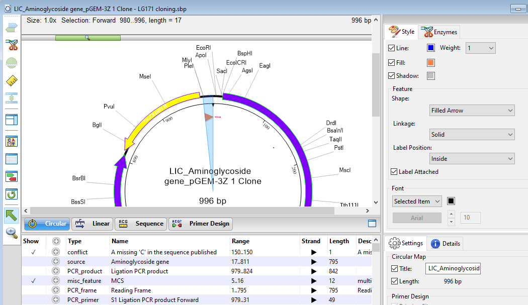 Plasmid-Map-2 Plasmid Map in SeqBuilder Pro
