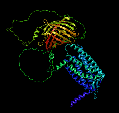 protein_structure Protein structure modeled in Protean 3D