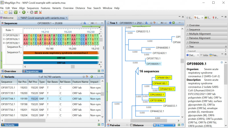 Mega Alignment Software Simplifying Multiple Sequence Alignment and Analysis with MegAlign Pro ...
