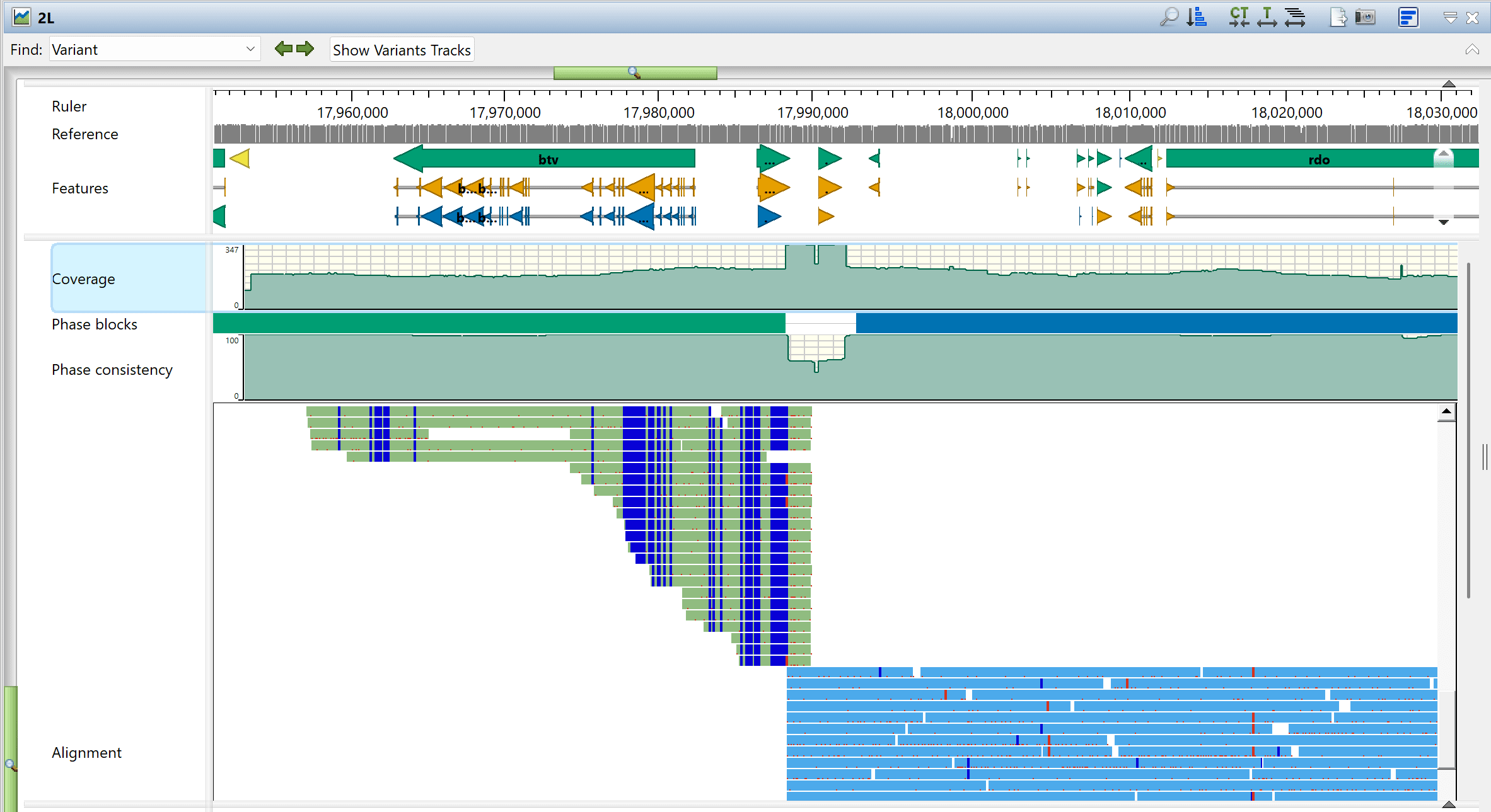 2025-03-24_12-17-16_qfsf1p PacBio Hifi sequencing workflow results displayed in GenVision Pro