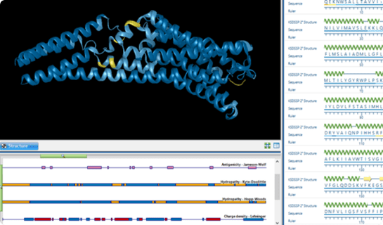 NFAI-3_cjs5x7 protein structure in Protean 3D