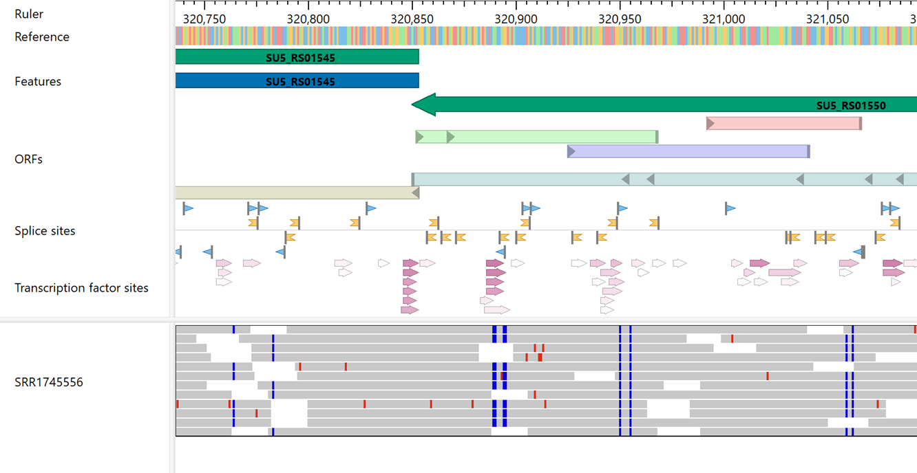 2026-05-12_17-06-27_fhqwmj Visualization in GenVision Pro