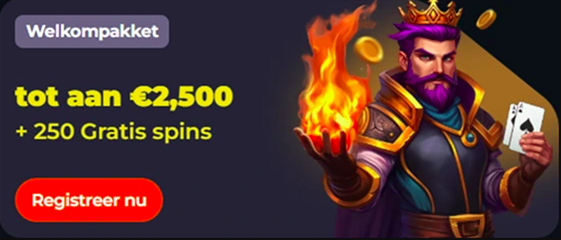 Veilig spelen bij een online casino: tips voor beginners