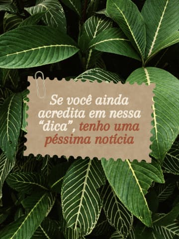 Template do Pack Seiva
