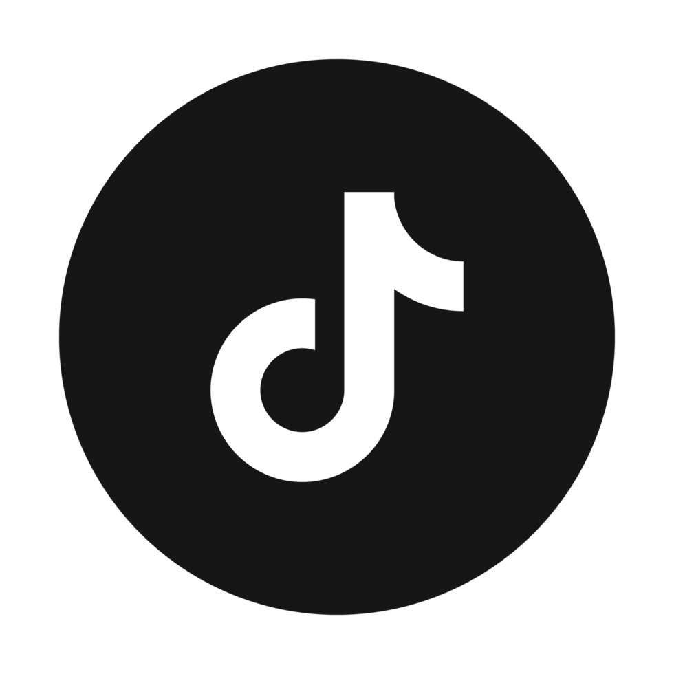 TikTok Icon