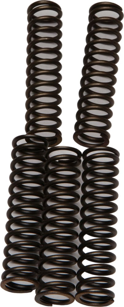 CLUTCH SPRINGS CSK110