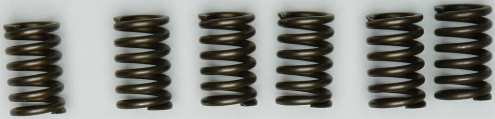 CLUTCH SPRINGS CSK131