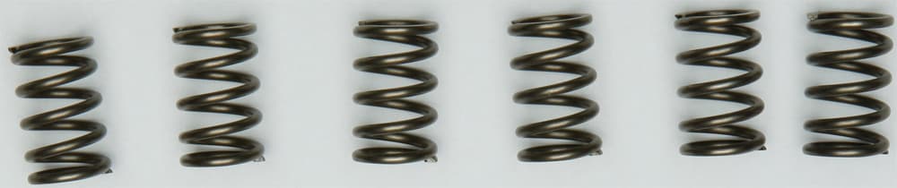 CLUTCH SPRINGS CSK171