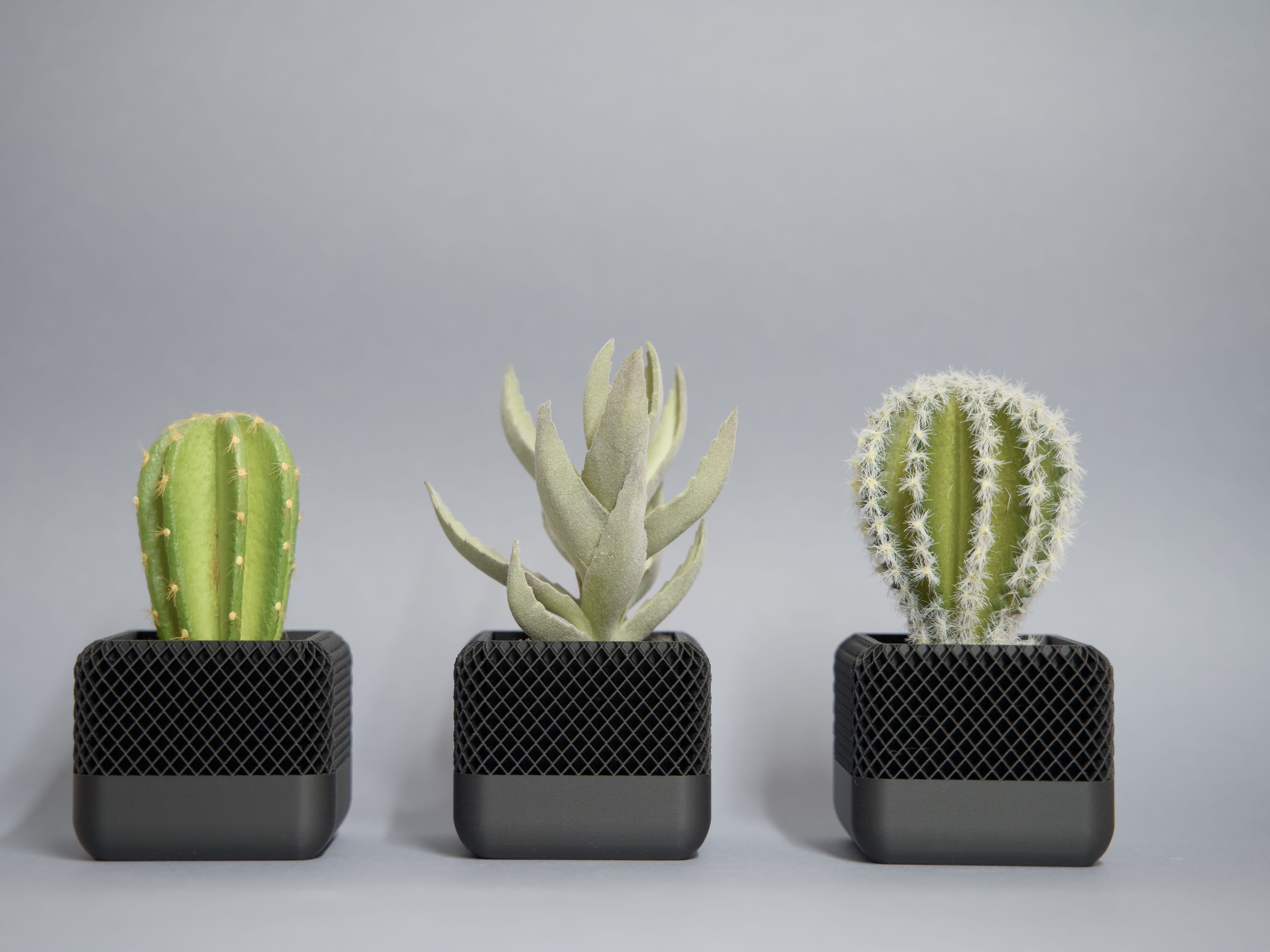 Mini cactus planter impreso en 3D