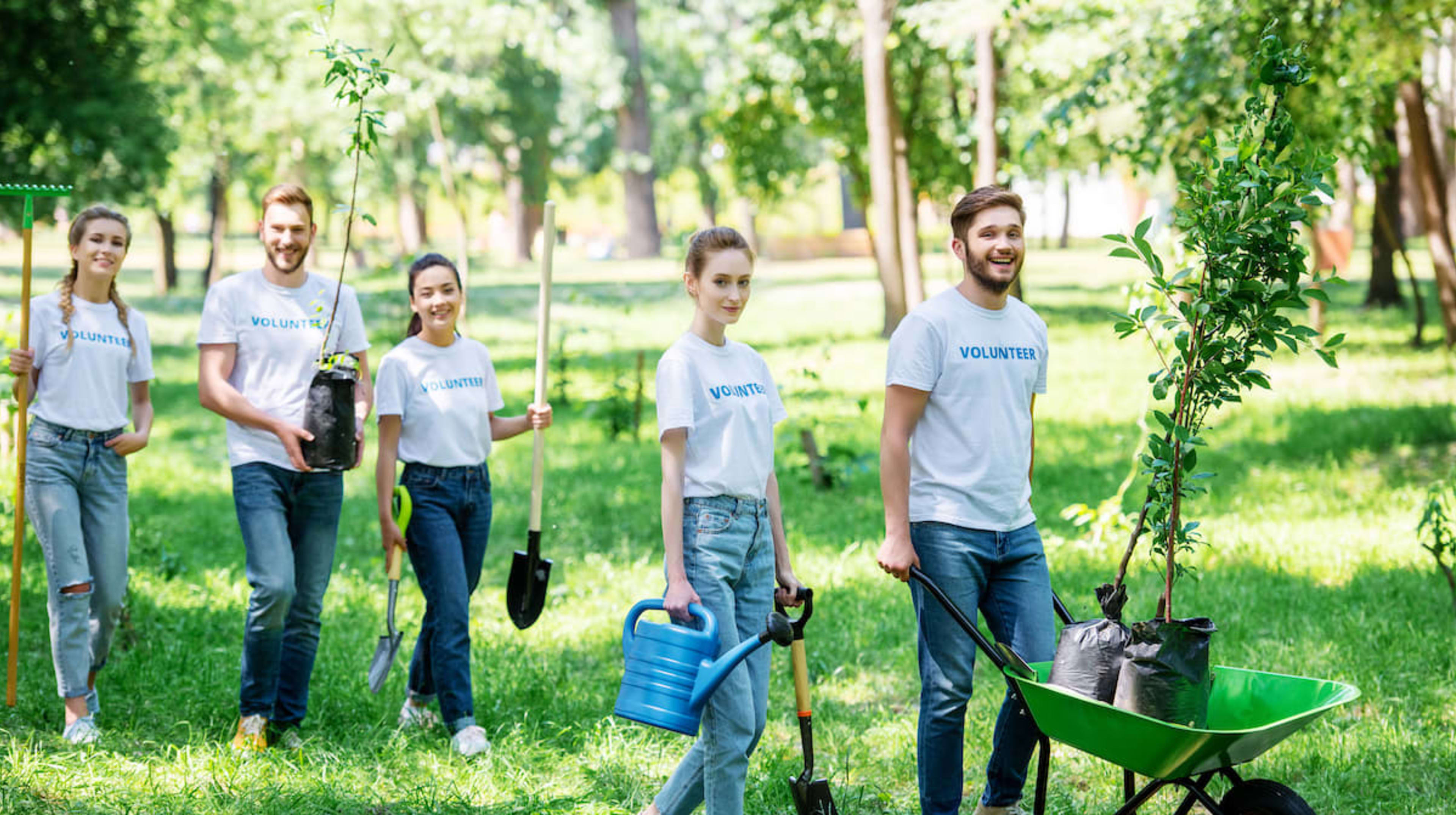La ley y la sostenibilidad ESG: cómo las regulaciones transforman la responsabilidad social empresarial