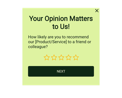 Customer Feedback Widget - First Step