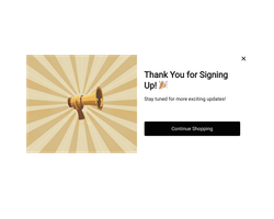 "Stay In Tune Announcement" Widget - Second Step