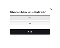 "Website Feedback" Widget - Third Step