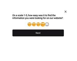 "Website Feedback" Widget - Second Step