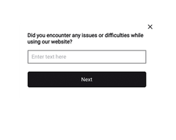 "Website Feedback" Widget - Fourth Step