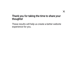 "Website Feedback" Widget - Fifth Step