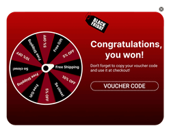 Black Friday Fortune Wheel Screen 2