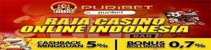 Promotion Banner