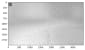 blog/sementes/4e9a1811-3ba5-4dab-9ba3-a0d4c24691e2