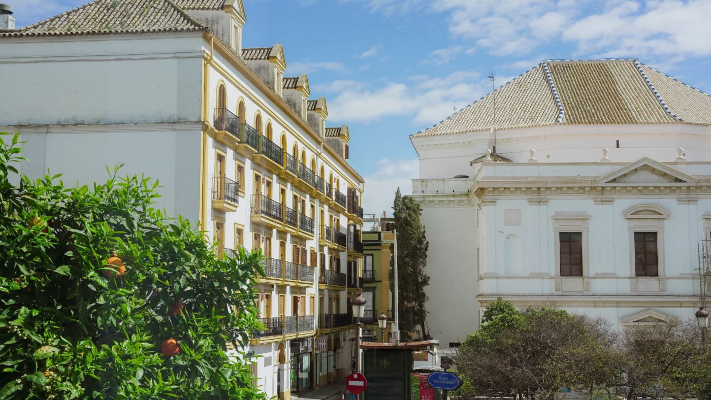 View from a room at Thompson Sevilla over Andalusian facades and an orange tree