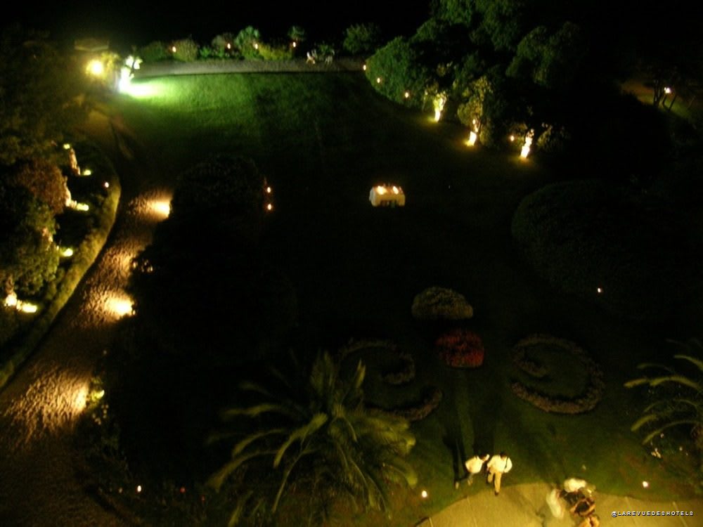 The illuminated garden