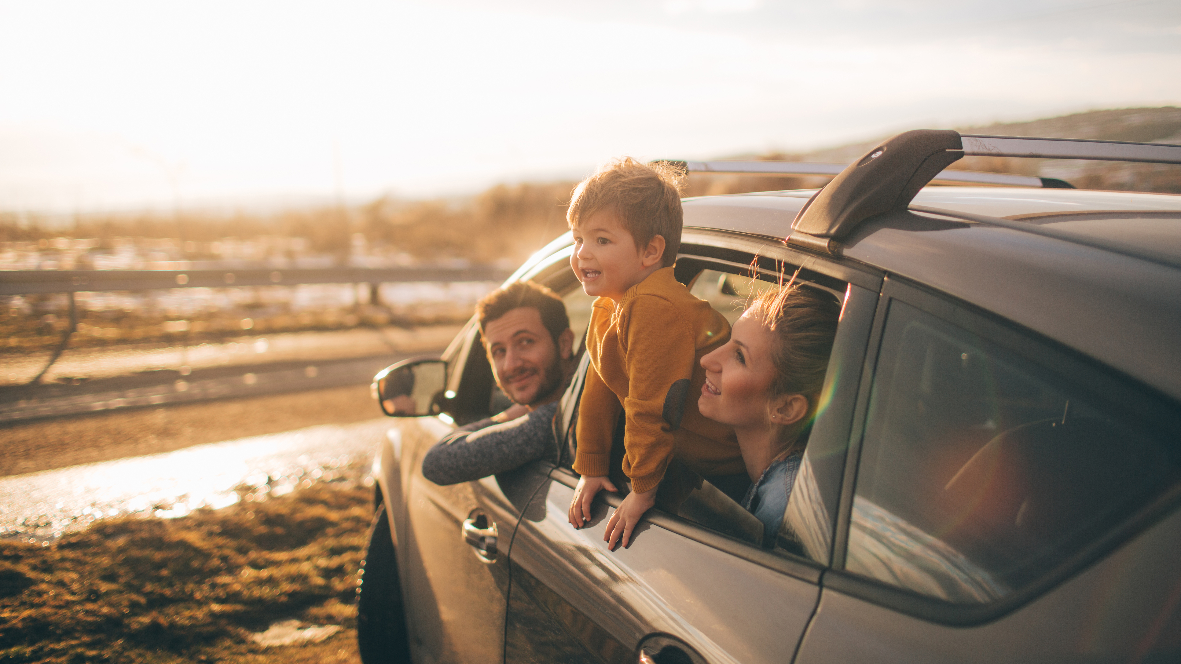 American Family Insurance