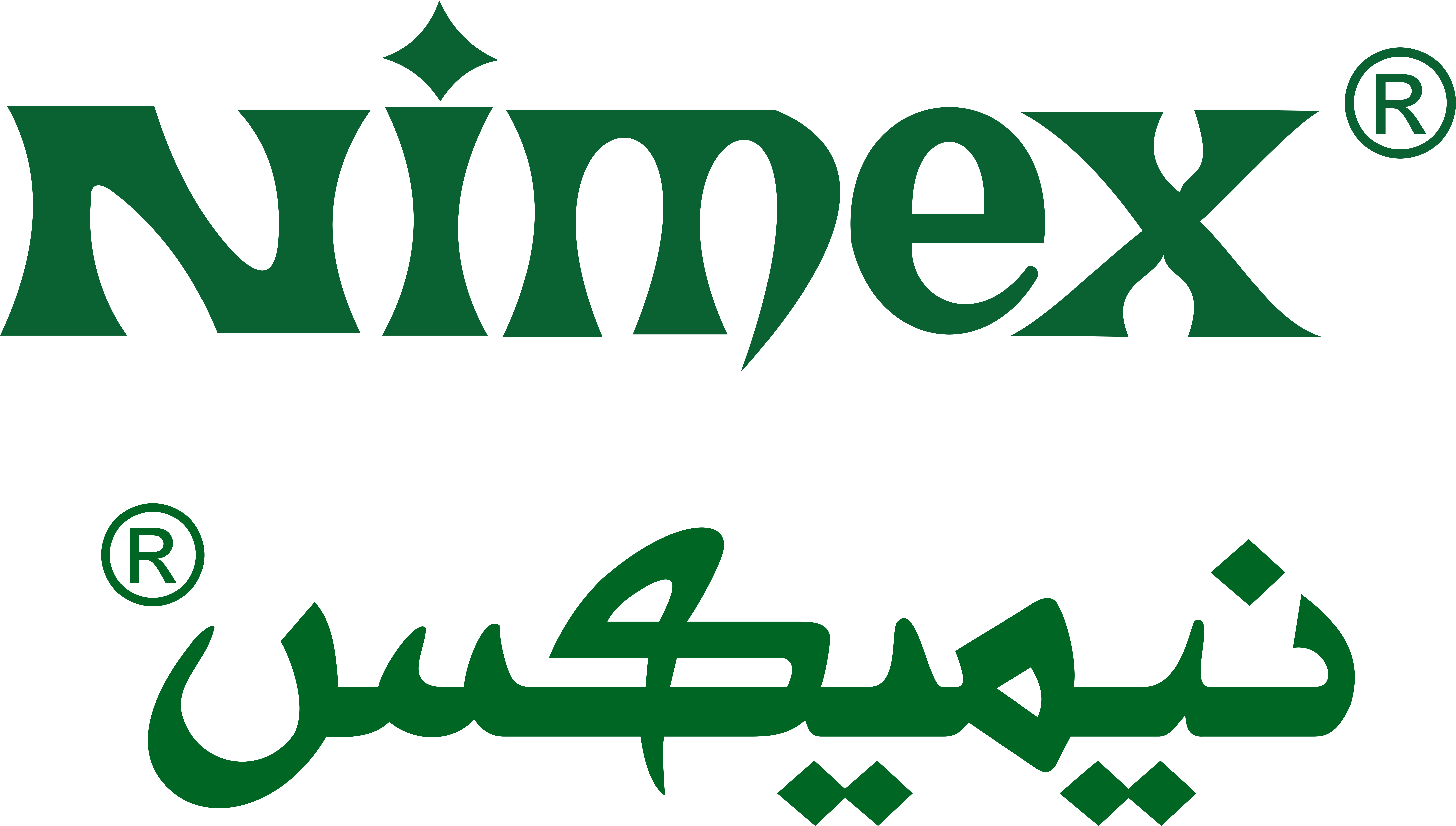 Nimex logo