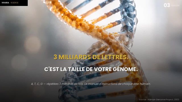 La biologie devient un logiciel