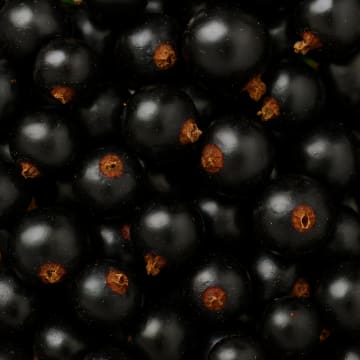 Frozen Blackcurrant