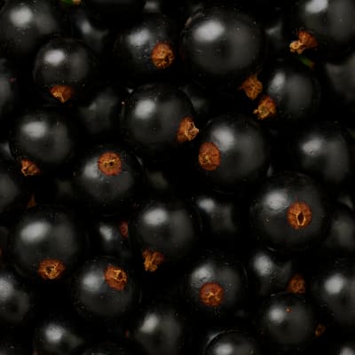 Frozen Blackcurrant