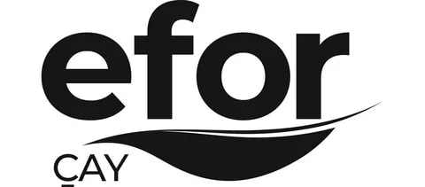 EFOR
