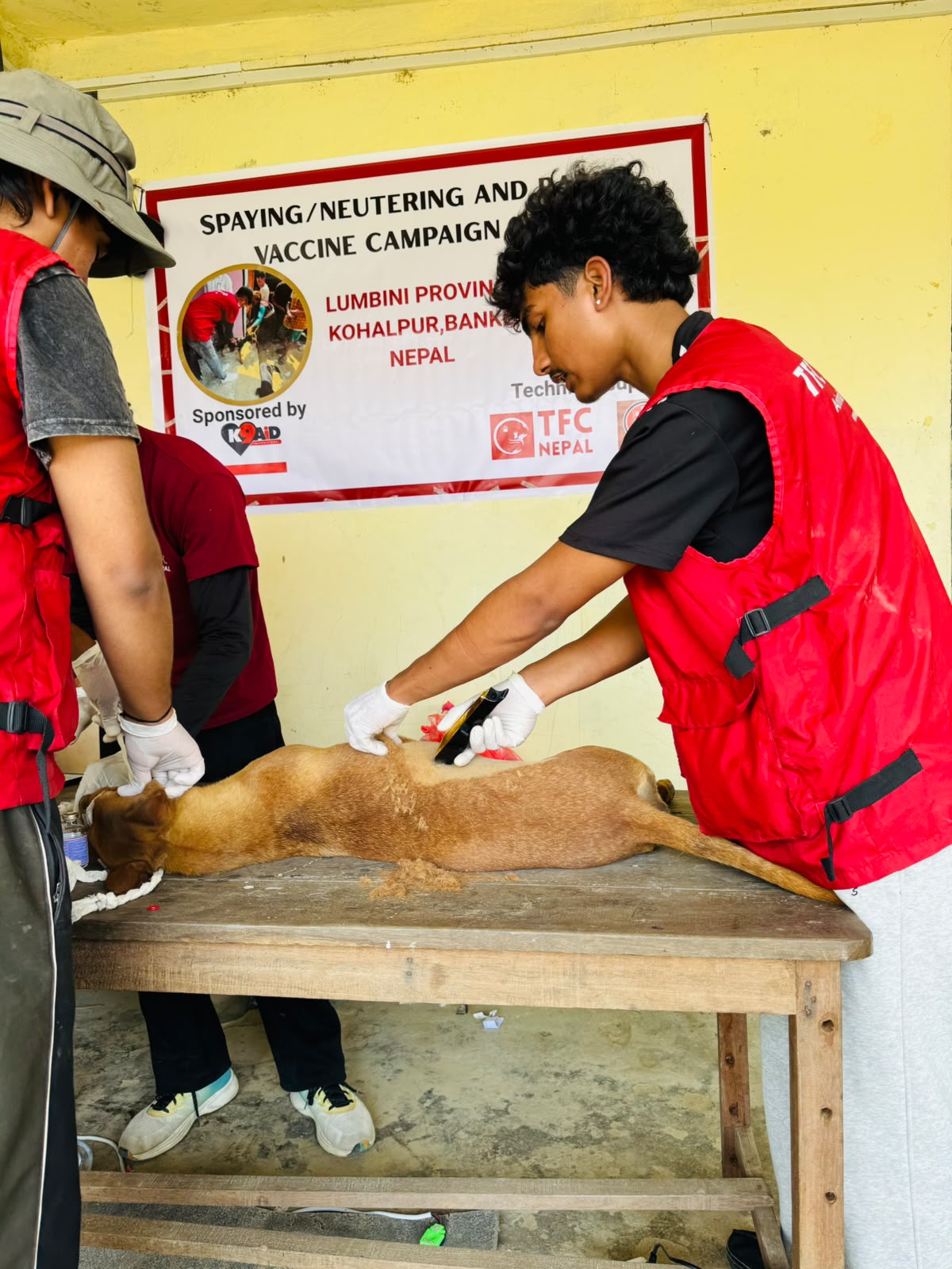 Spaying, Neutering & Rabies Vaccination Campaign 2025 – Kohalpur