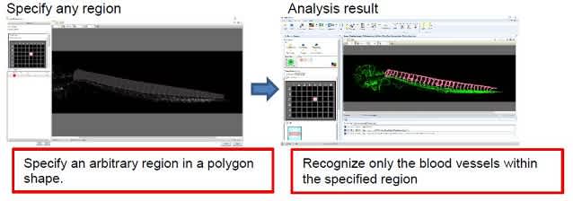 Example of the Analysis of Arbitrary Region