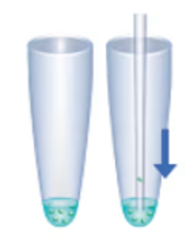 Pooling single-cell or subcellular samples