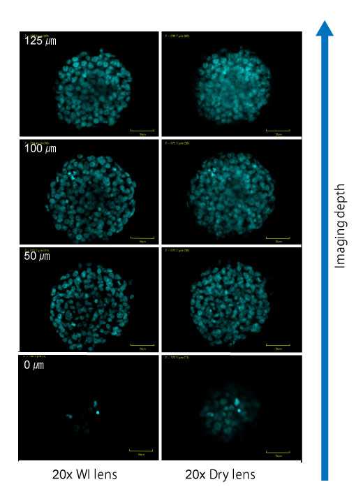 Imaging example for a spheroid