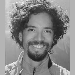 David Motta
