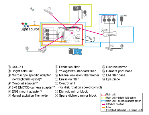 Basic model