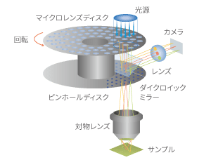 Dual spinning disk confocal system