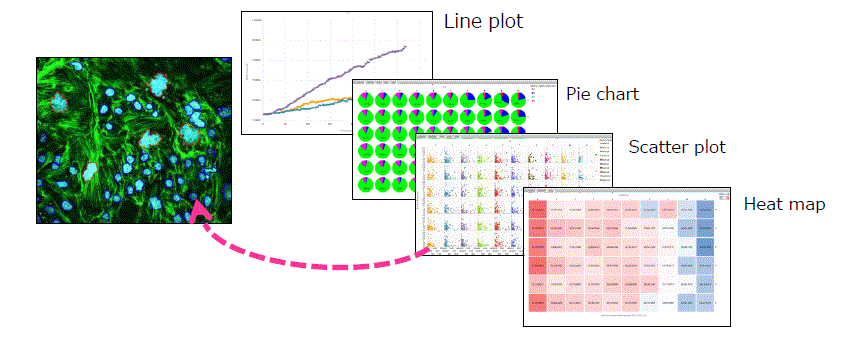 Make the graphs