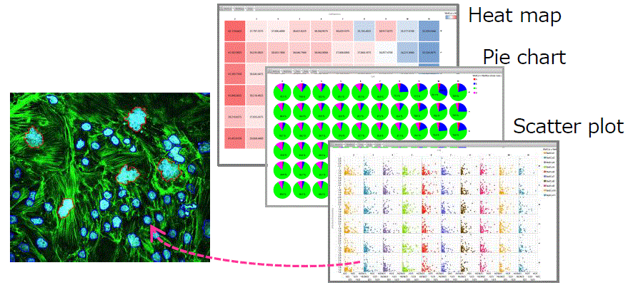 CellPathfinder