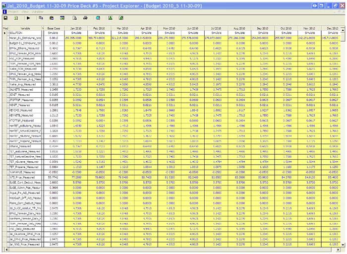 Figure 8 - MultiView Budget Input