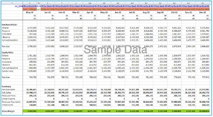 Figure 9 â 12 Month Budget Forecast Example