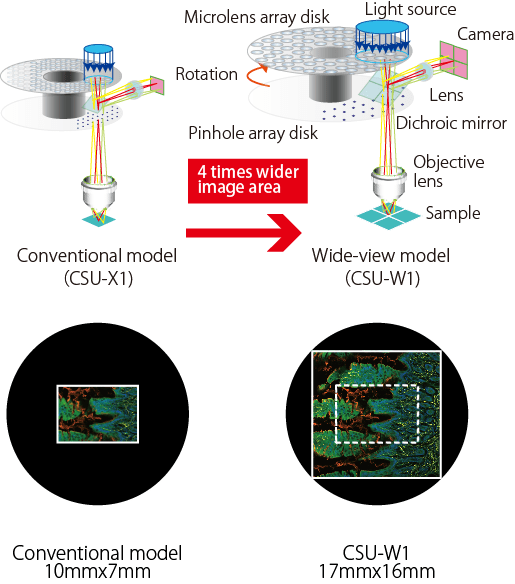 CSU-W1 Yokogawa CSU Widest FOV confocal