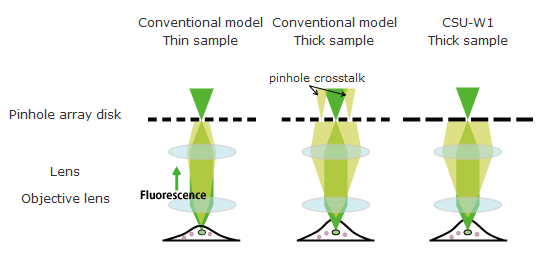 CSU-W1 Yokogawa CSU Thin sample: Conventional, Thick sample: Conventional, Thick sample