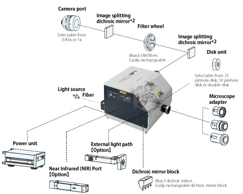 Split-view model